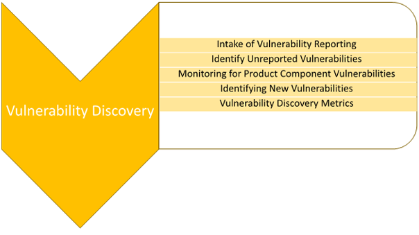 Vulnerability Discovery